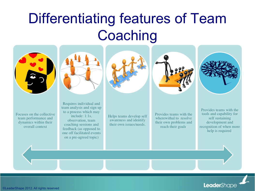 Leadershape Global Team Coaching